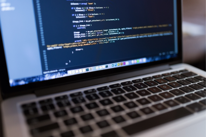 No Coding Let Word Press Developers Do It
