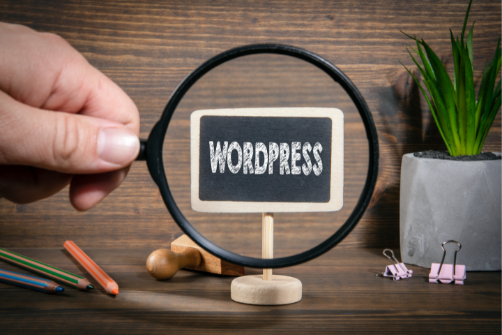 Word Press Developers Can Work Remotely