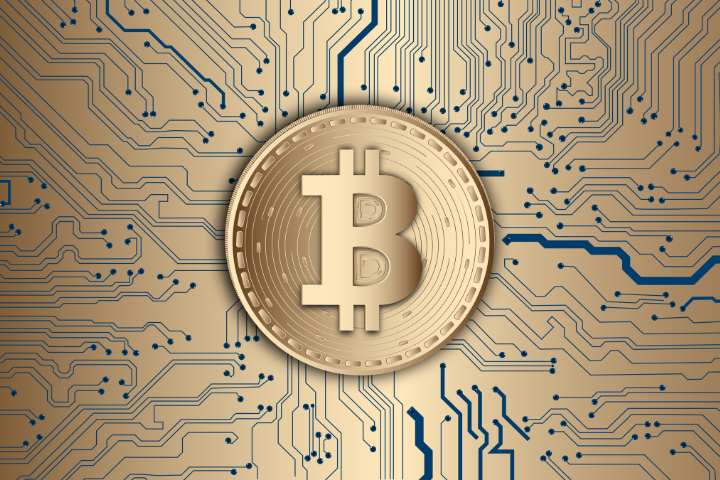 From Bitcoin To Altcoins Crypto Is Dominating